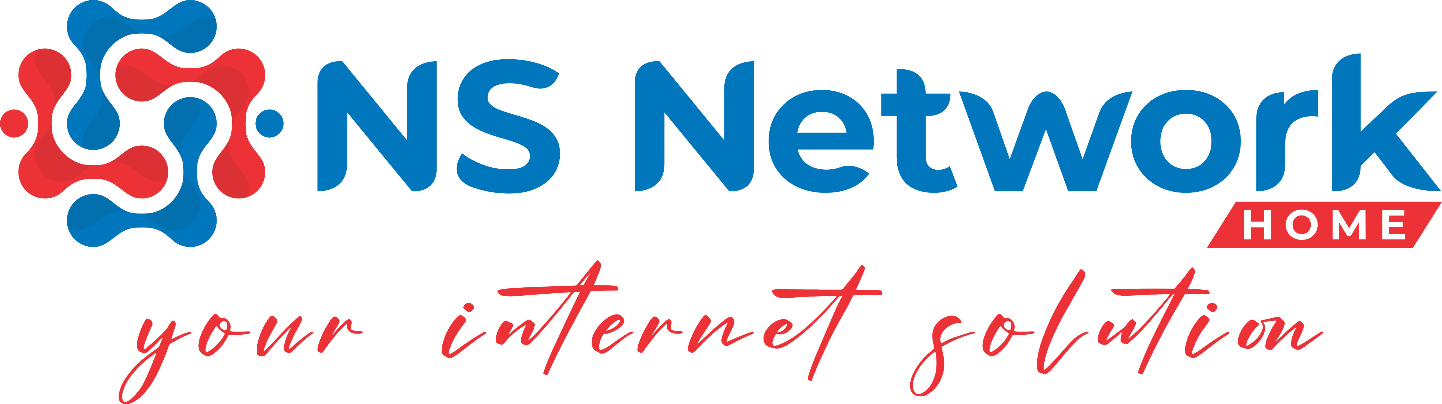 NS Net